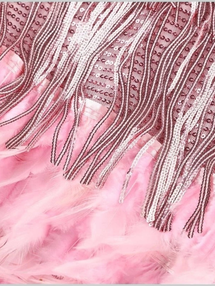 Emily & Isabella Brooks | Feathered Mini Dress