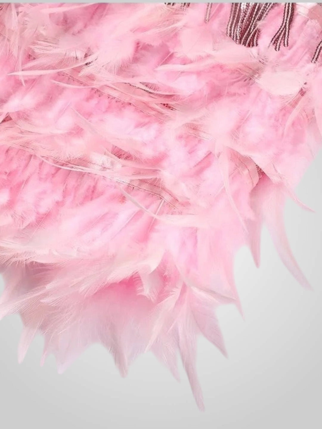 Emily & Isabella Brooks | Feathered Mini Dress