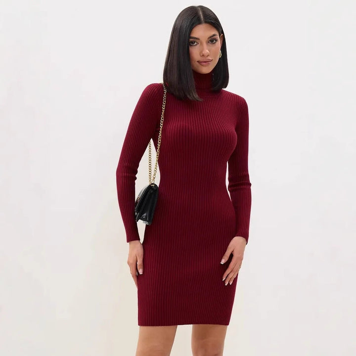 Emily & Isabella Brooks | Ribbed Knit Turtleneck Sweater Dress