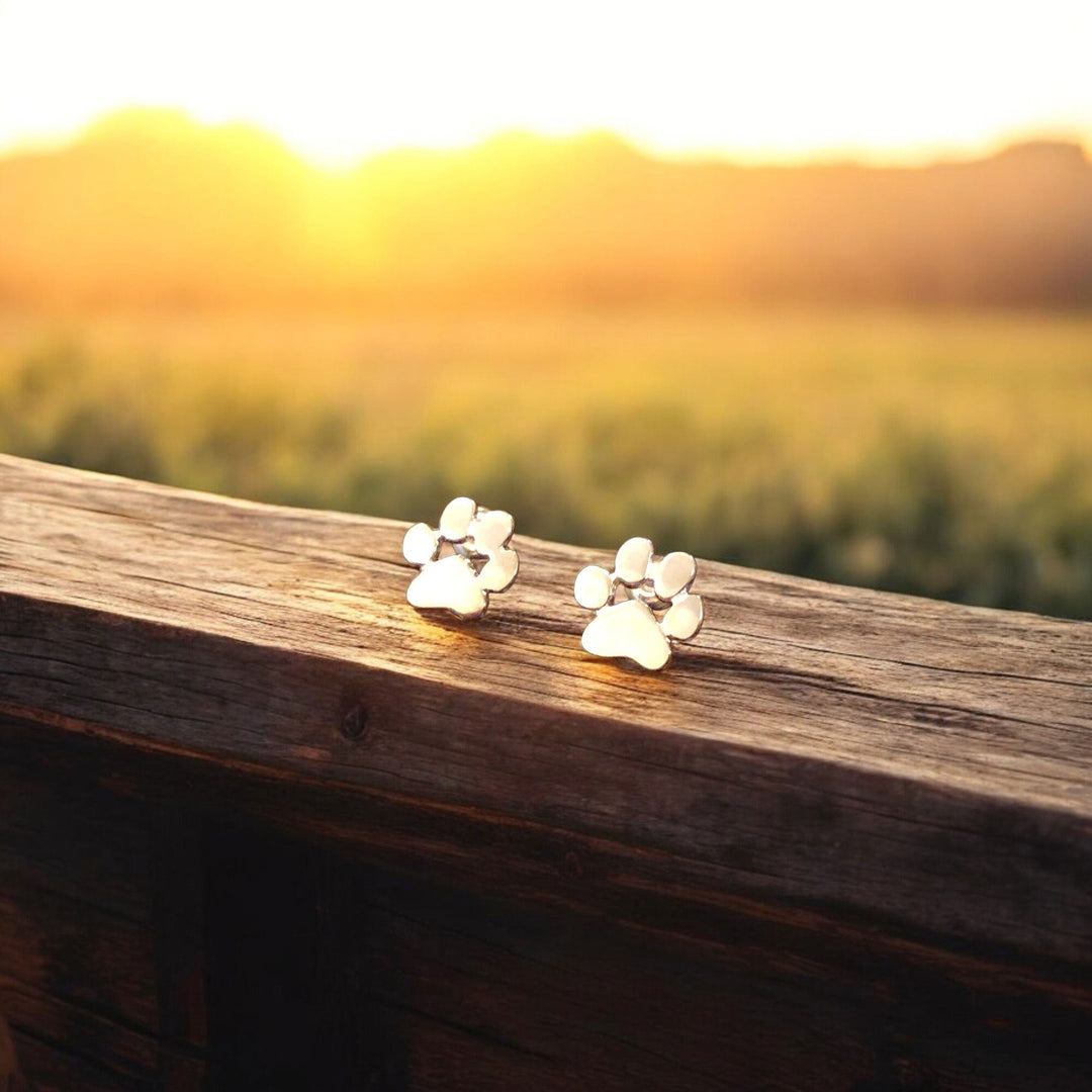 Emily & Isabella Brooks | Hypoallergenic Paw Earrings in Stainless Steel