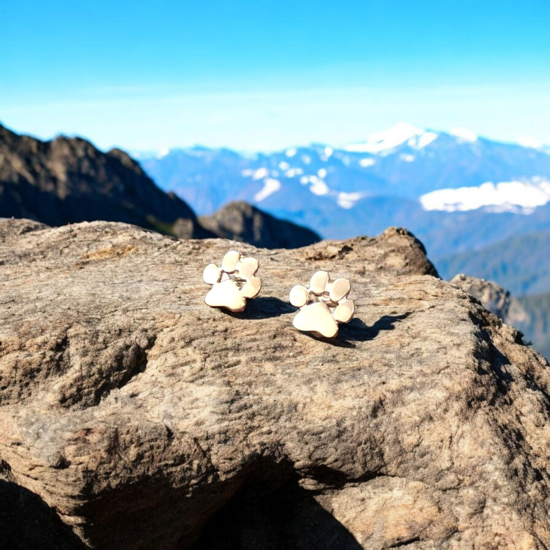 Emily & Isabella Brooks | Hypoallergenic Paw Earrings in Stainless Steel
