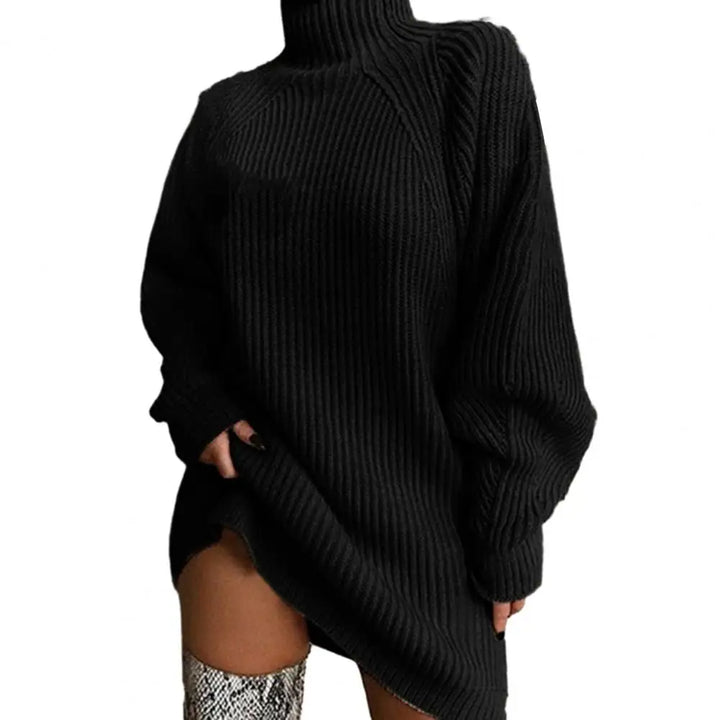 Emily & Isabella Brooks | Turtleneck Sweater Dress, Winter, Women's