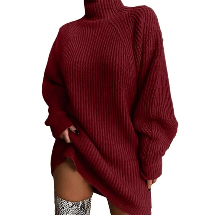 Emily & Isabella Brooks | Turtleneck Sweater Dress, Winter, Women's